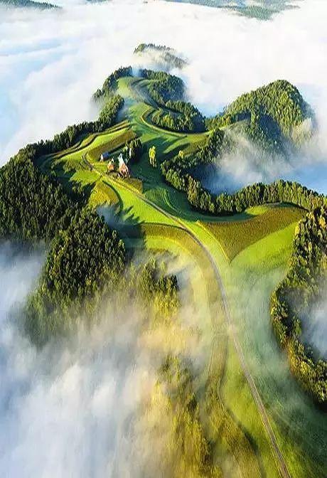 莫雷岛逃脱