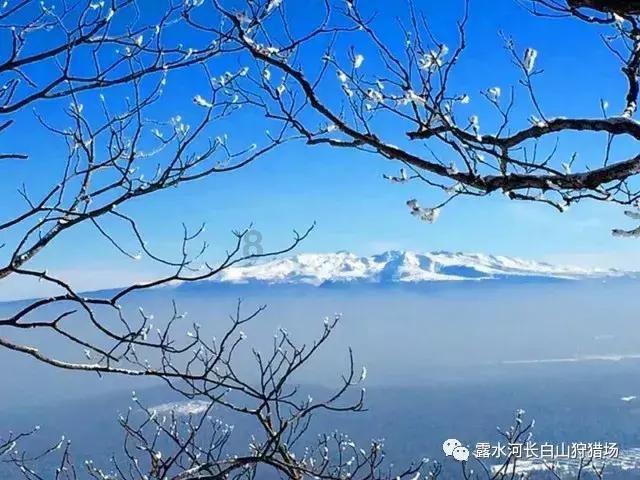 爱丽化妆教程