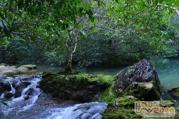 从南雄珠玑巷到鹤山：跨越七百多年的寻根谒祖