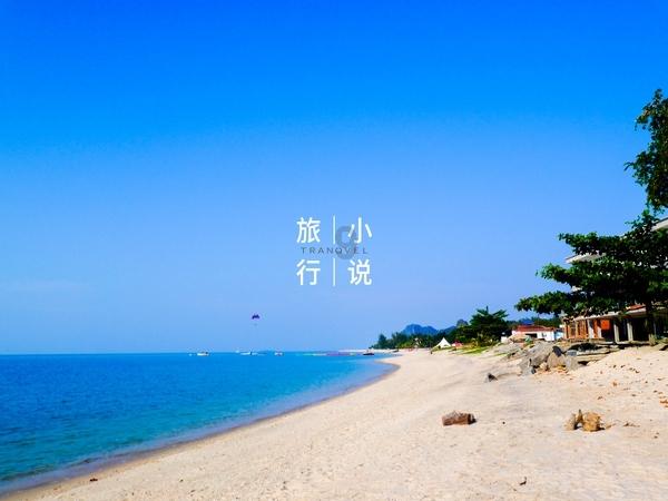 金刚鹦鹉逃生