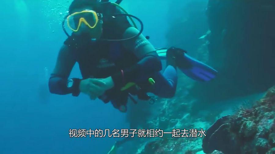 逃出郊外露营地