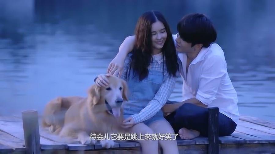 可爱的小考拉