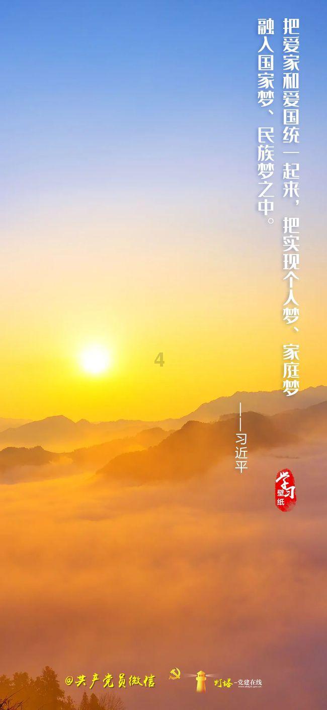 一张图让你戒猫358