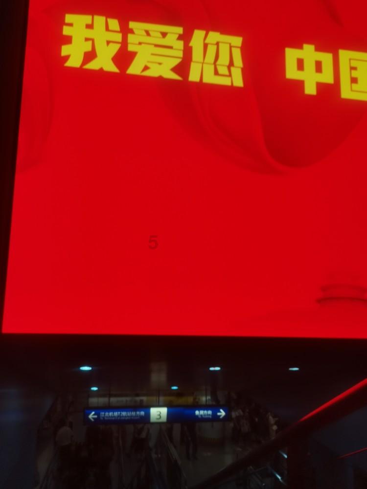 最新热门话题讨论-约克夏幼犬一般多少钱一只?的红迪网